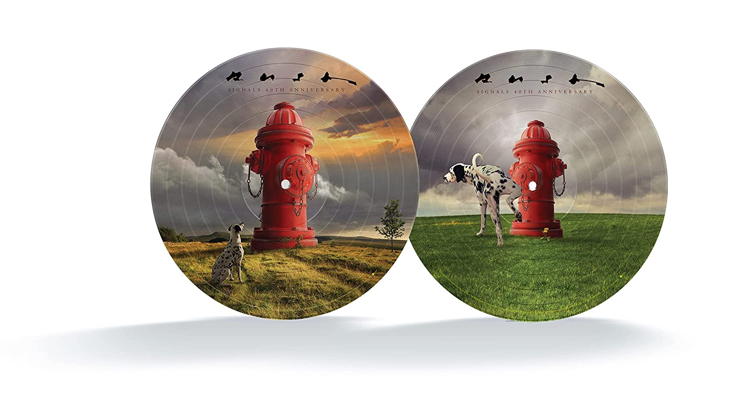 Signals - 40th Anniversary PICTURE Vinyl Edition