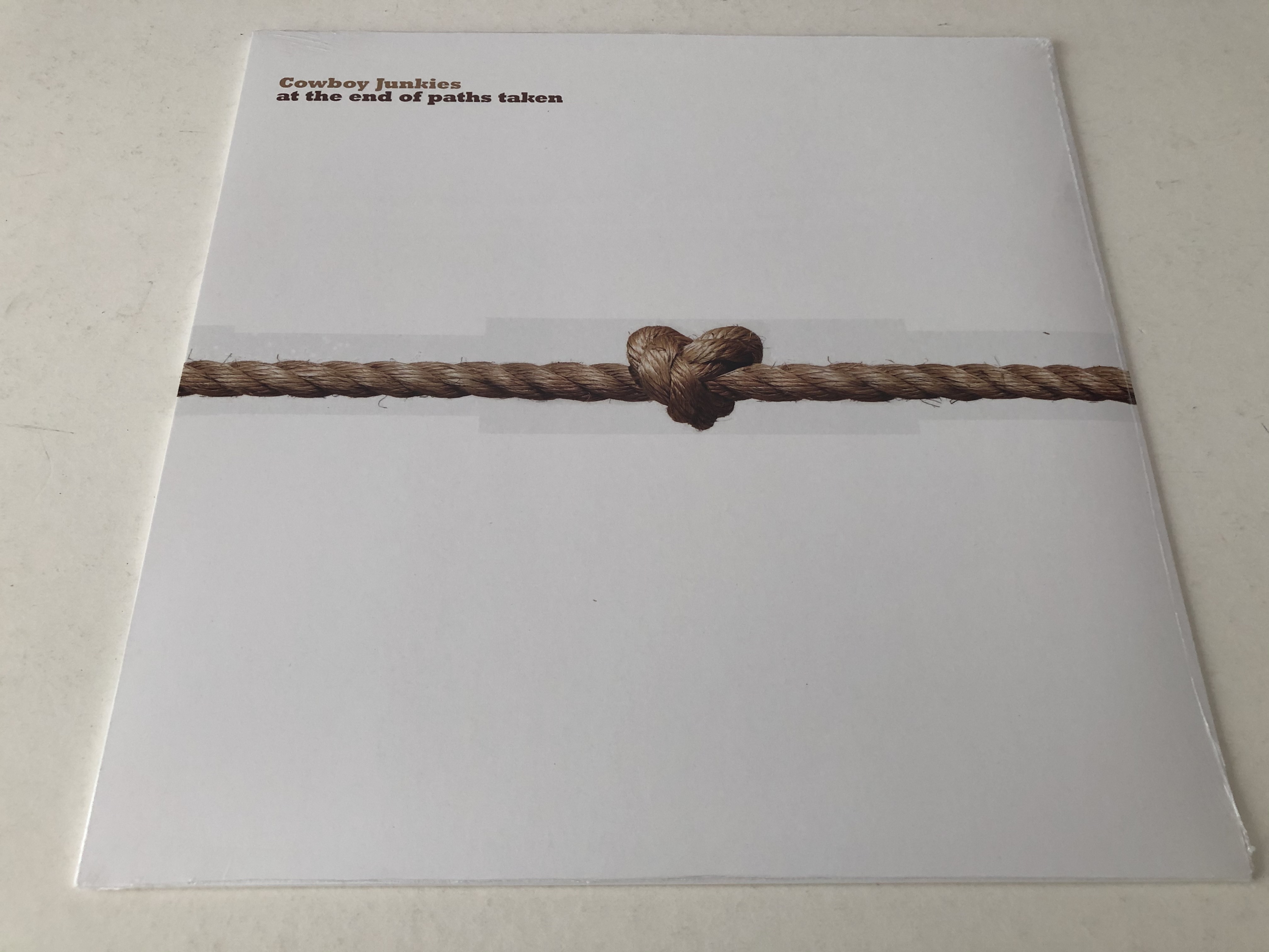 AT THE ENDS OF PATHS TAKEN (COLOURED Vinyl)