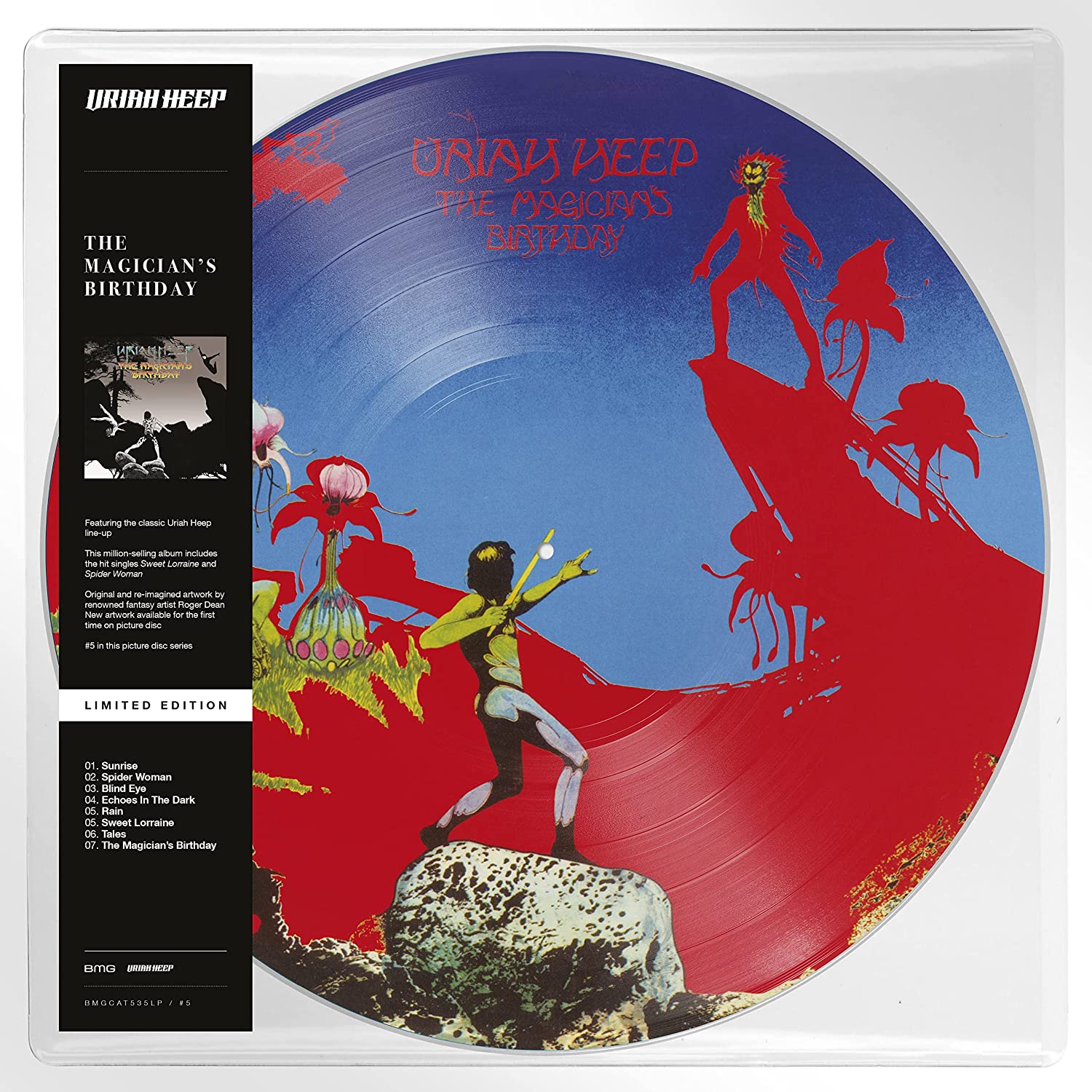 The Magician's Birthday (Picture  Vinyl)